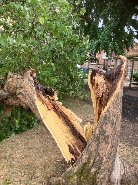 Four Storms, One Storm